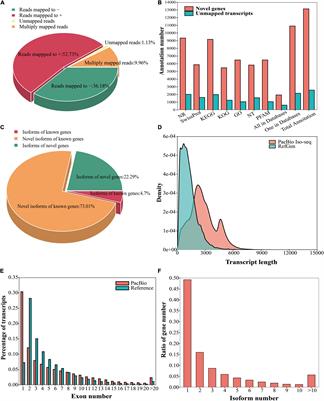 A Tissue-Specific Landscape of Alternative Polyadenylation, lncRNAs, TFs, and Gene Co-expression Networks in Liriodendron chinense